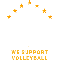 Volleyball logo